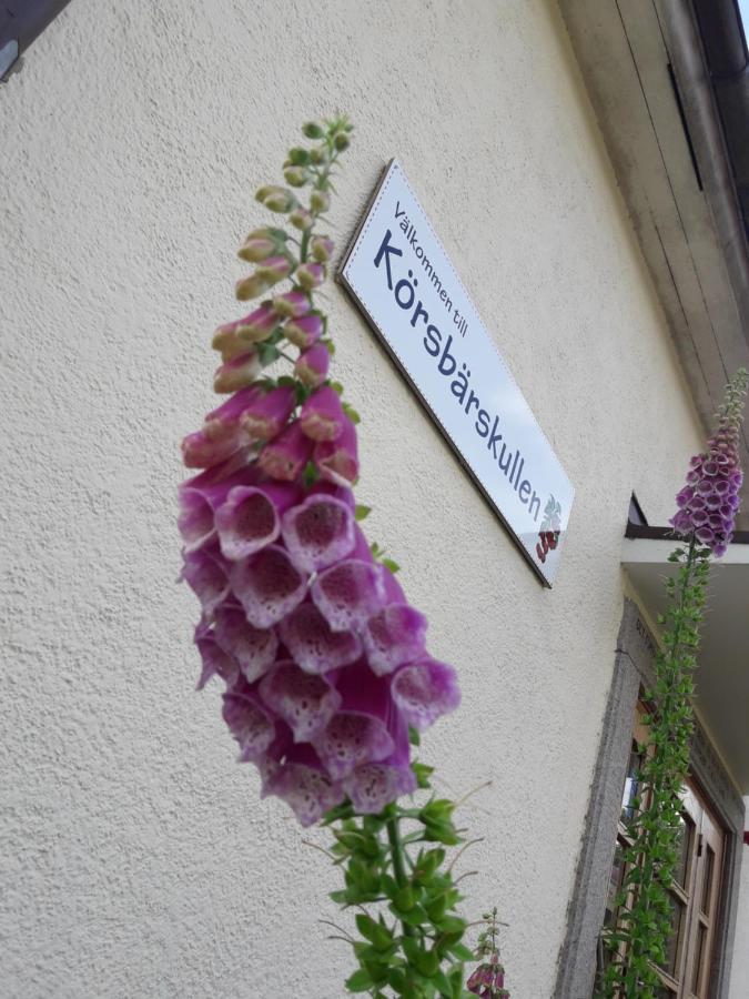 Ostello Koersbaerskullen Vimmerby Esterno foto
