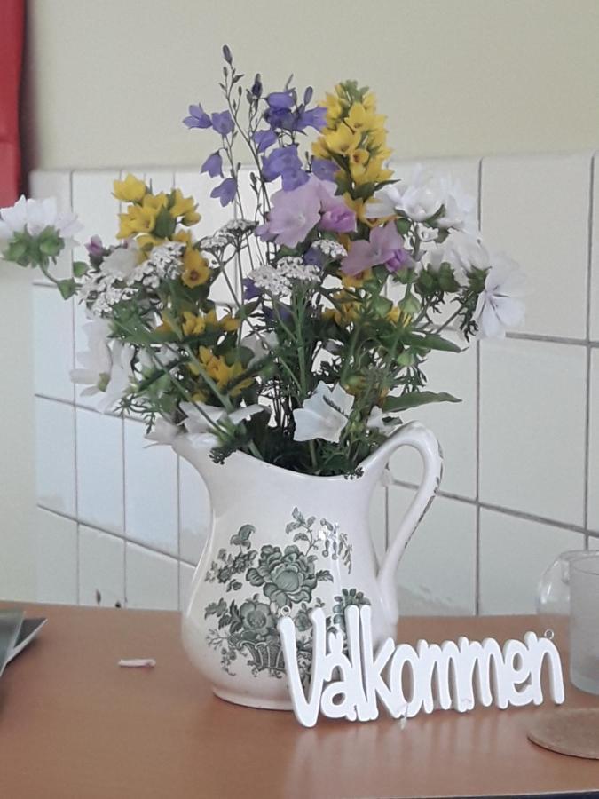 Ostello Koersbaerskullen Vimmerby Esterno foto